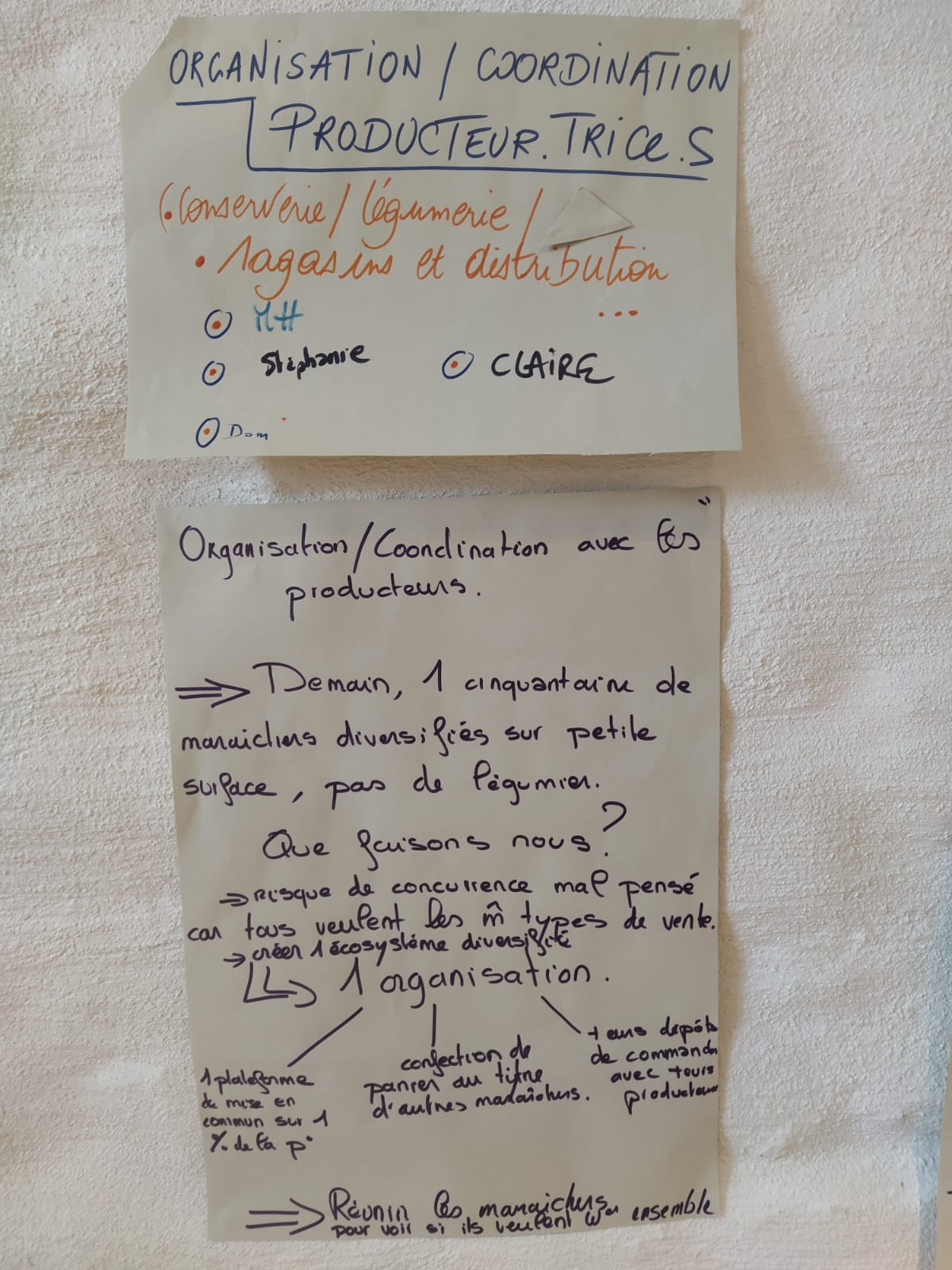 Poster du groupe Organisation Coordination producteurices