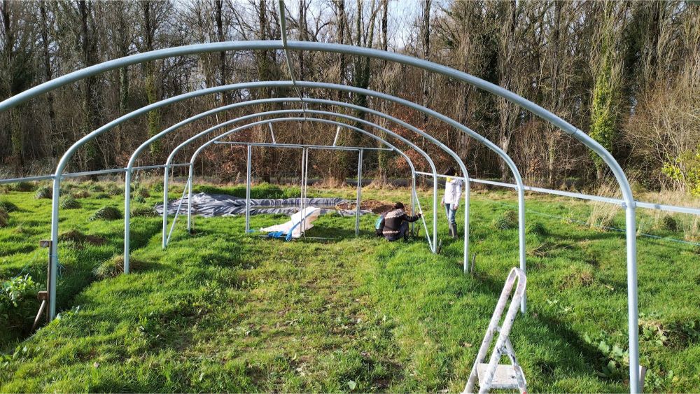 Tunnel maraîcher en cours de montage, la mare en arrière plan