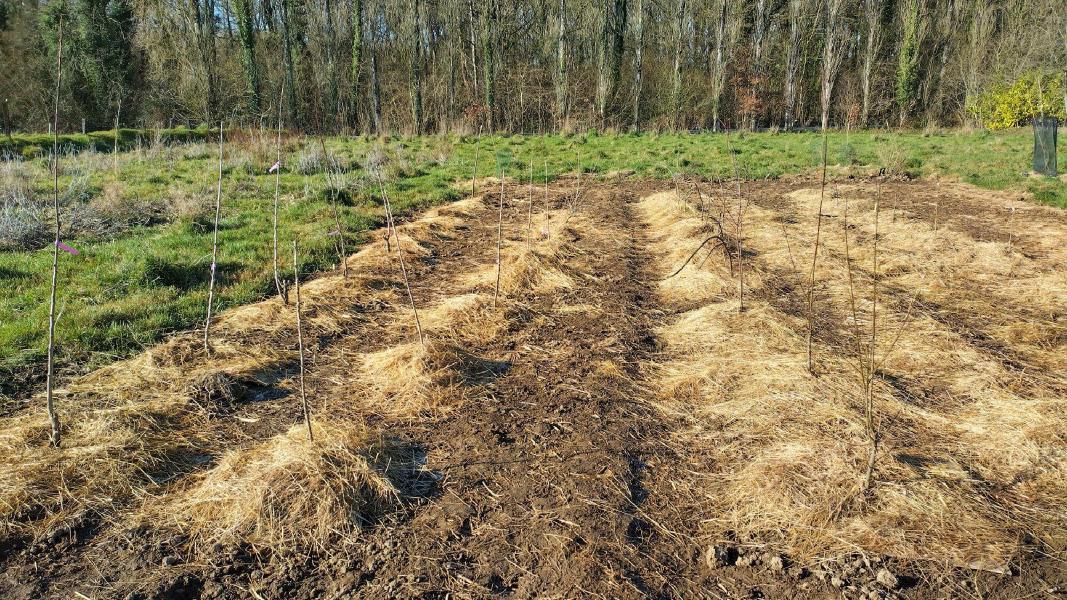 image Chantier ouvert à la Pépille, février 2023