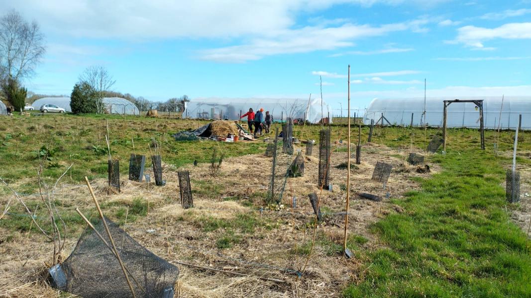 image Chantiers ouverts à la Pépille, mai 2023