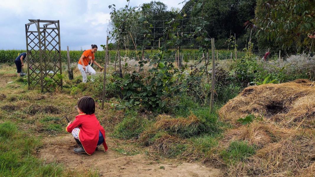 image Chantiers ouverts à la Pépille - novembre 2023