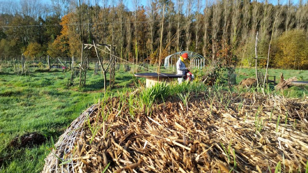 image Chantiers ouverts à la Pépille - décembre 2023