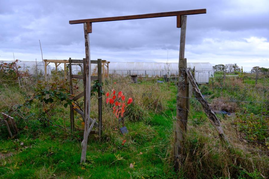 image Page d'accueil